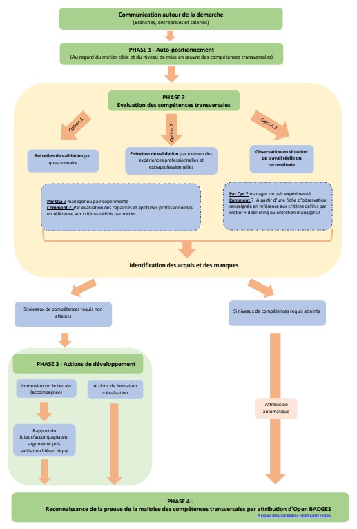 competences transversales